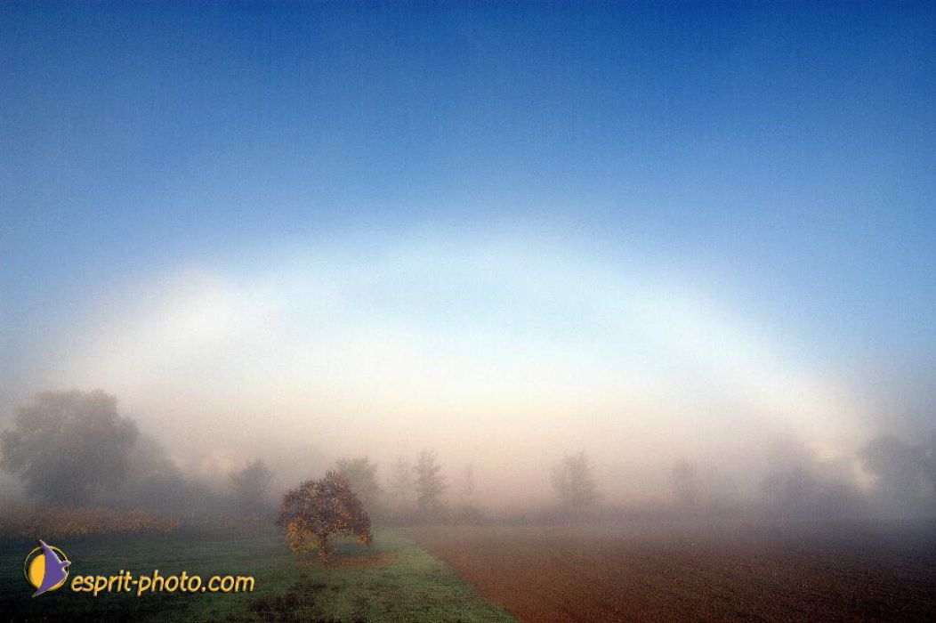 Nom de l'image : EP08-0332_(c)Norbert-JUNG — Description :